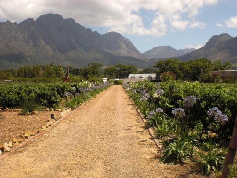 Auberge La Dauphine Guest House Franschhoek Exteriér fotografie