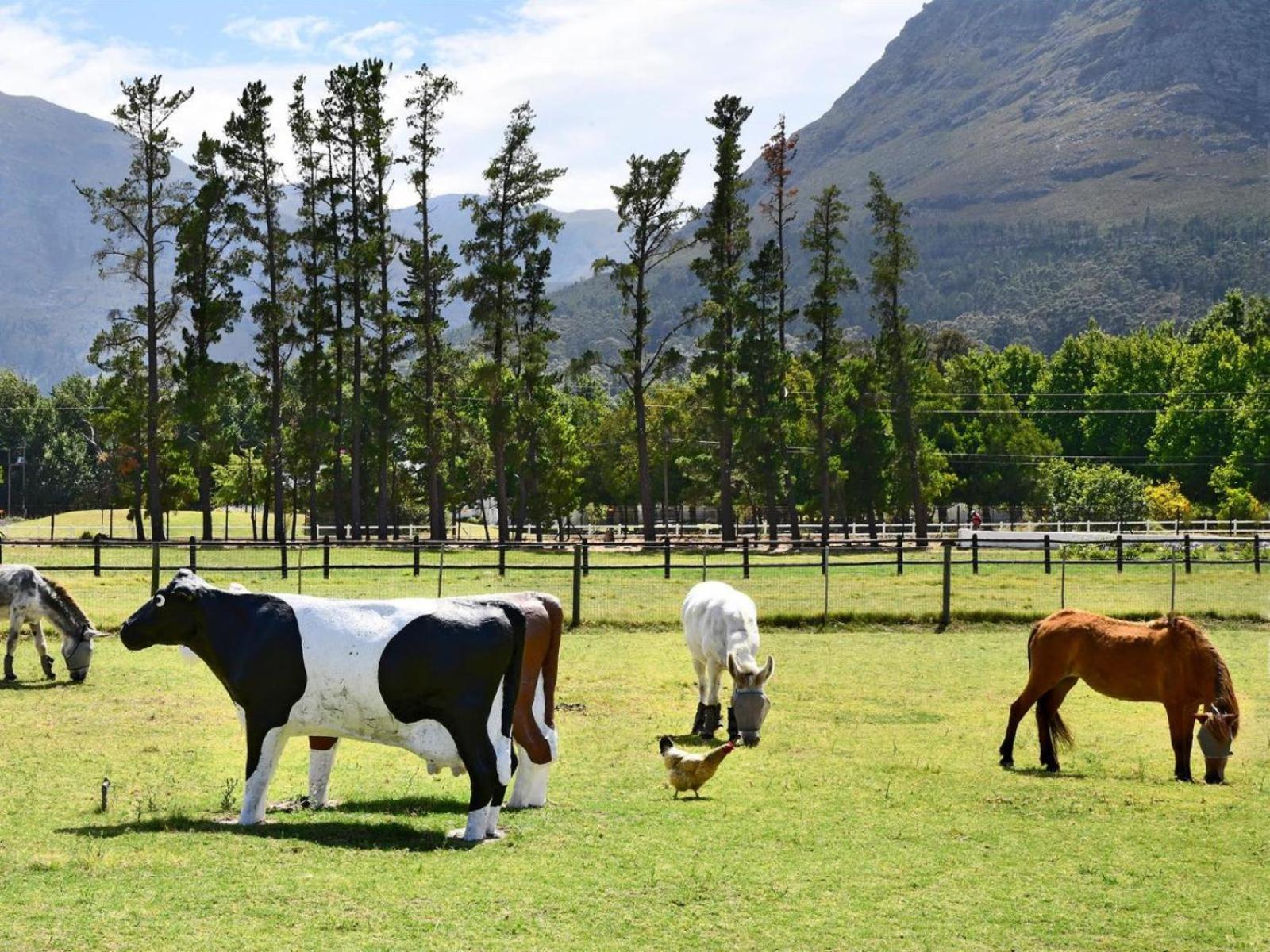 Auberge La Dauphine Guest House Franschhoek Exteriér fotografie