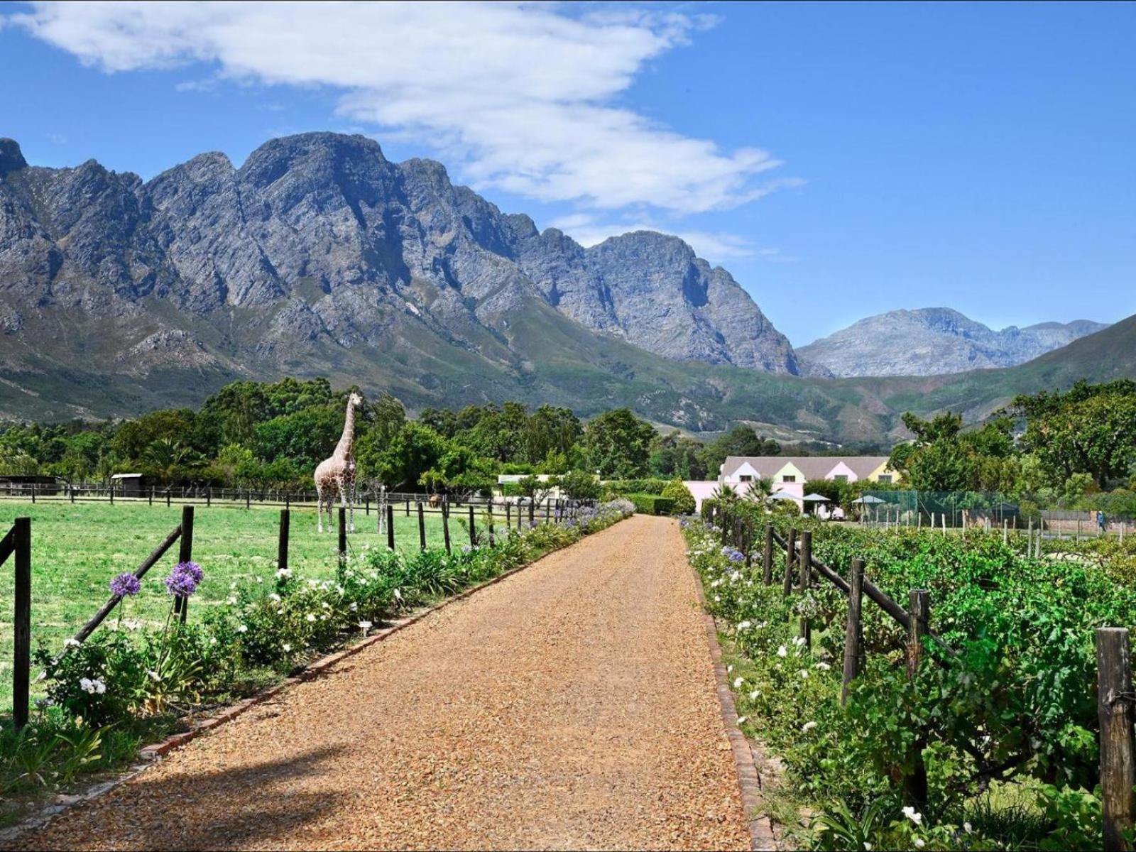 Auberge La Dauphine Guest House Franschhoek Exteriér fotografie