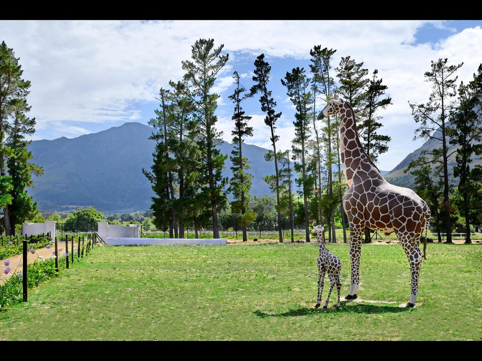 Auberge La Dauphine Guest House Franschhoek Exteriér fotografie